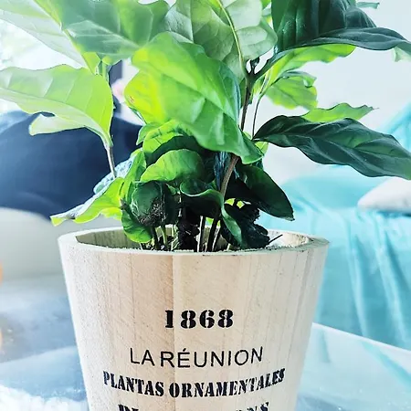 Appartement Garden Flat In *