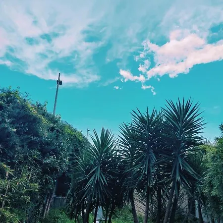 Garden Flat In Cannes